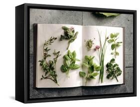 Various Salad Herbs on an Open Book-Walter Cimbal-Framed Stretched Canvas