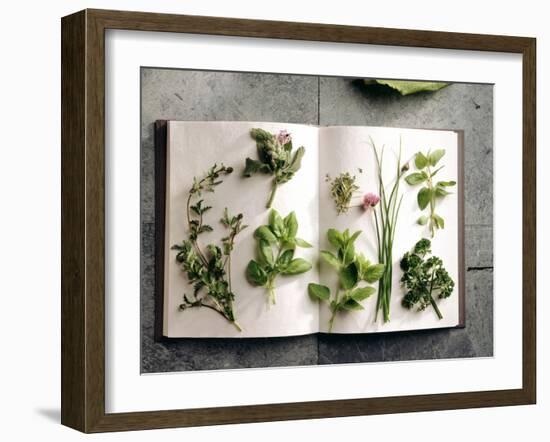 Various Salad Herbs on an Open Book-Walter Cimbal-Framed Photographic Print