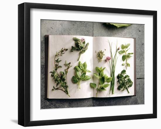 Various Salad Herbs on an Open Book-Walter Cimbal-Framed Photographic Print