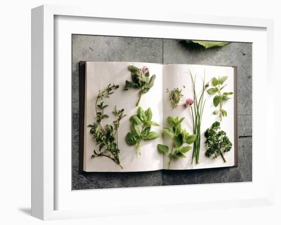 Various Salad Herbs on an Open Book-Walter Cimbal-Framed Photographic Print