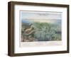 Various Seaweed and Other Submarine Flora-P. Lackerbauer-Framed Art Print