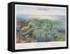 Various Seaweed and Other Submarine Flora-P. Lackerbauer-Framed Stretched Canvas