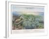 Various Seaweed and Other Submarine Flora-P. Lackerbauer-Framed Art Print