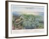 Various Seaweed and Other Submarine Flora-P. Lackerbauer-Framed Art Print