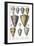 Various Shells (Cones)-null-Framed Art Print