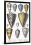 Various Shells (Cones)-null-Framed Art Print