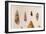 Various Shells-J. Green-Framed Art Print