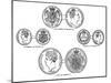 Various Sovereigns, C1895-null-Mounted Giclee Print