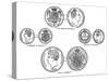 Various Sovereigns, C1895-null-Stretched Canvas