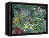 Various Species of Flowers in Garden-Mark Gibson-Framed Stretched Canvas