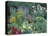 Various Species of Flowers in Garden-Mark Gibson-Stretched Canvas