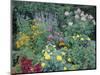 Various Species of Flowers in Garden-Mark Gibson-Mounted Photographic Print
