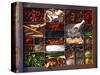 Various Spices in a Type Case-Oliver Brachat-Stretched Canvas