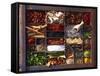 Various Spices in a Type Case-Oliver Brachat-Framed Stretched Canvas