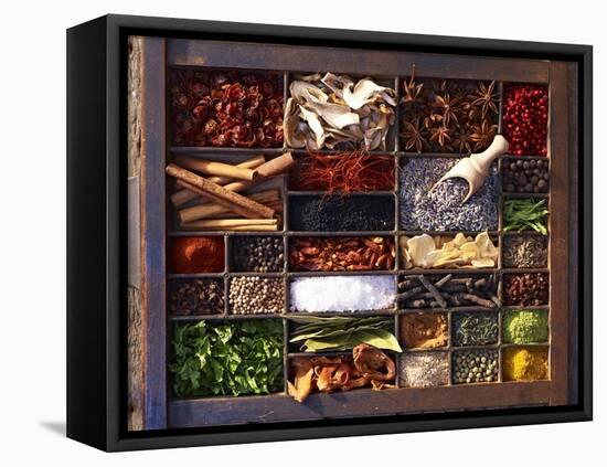 Various Spices in a Type Case-Oliver Brachat-Framed Stretched Canvas