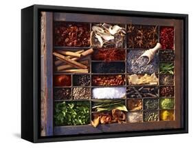 Various Spices in a Type Case-Oliver Brachat-Framed Stretched Canvas