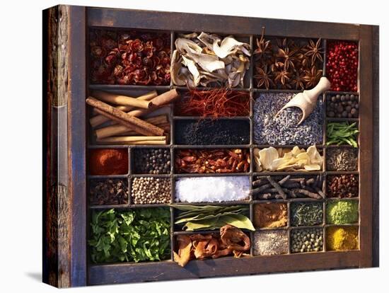 Various Spices in a Type Case-Oliver Brachat-Stretched Canvas