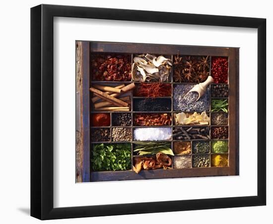 Various Spices in a Type Case-Oliver Brachat-Framed Photographic Print