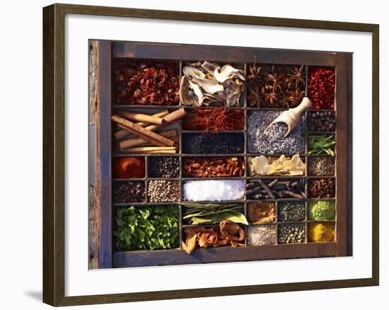 Various Spices in a Type Case-Oliver Brachat-Framed Photographic Print