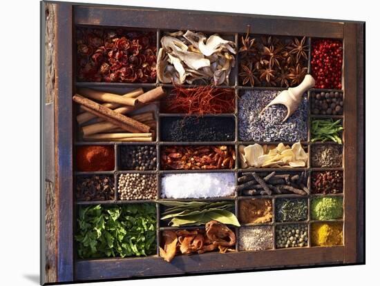Various Spices in a Type Case-Oliver Brachat-Mounted Photographic Print