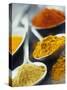 Various Spices on Spoons-null-Stretched Canvas
