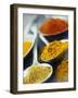 Various Spices on Spoons-null-Framed Photographic Print