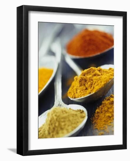 Various Spices on Spoons-null-Framed Photographic Print