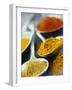 Various Spices on Spoons-null-Framed Photographic Print