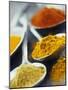 Various Spices on Spoons-null-Mounted Photographic Print