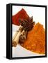 Various Spices-null-Framed Stretched Canvas