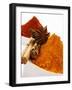 Various Spices-null-Framed Photographic Print