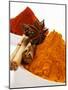 Various Spices-null-Mounted Photographic Print