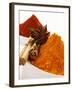 Various Spices-null-Framed Photographic Print