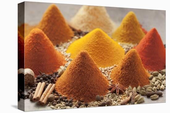 Various Spices-Eising Studio - Food Photo and Video-Stretched Canvas