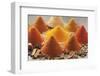 Various Spices-Eising Studio - Food Photo and Video-Framed Photographic Print