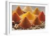 Various Spices-Eising Studio - Food Photo and Video-Framed Photographic Print