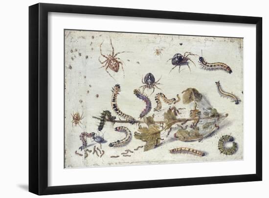 Various Spiders and Caterpillars, with a Sprig of Gooseberry, Early 1650S-Jan van Kessel-Framed Giclee Print