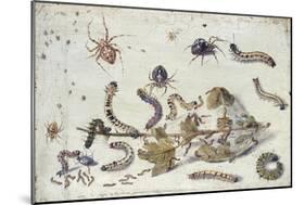 Various Spiders and Caterpillars, with a Sprig of Gooseberry, Early 1650S-Jan van Kessel-Mounted Giclee Print