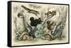Various Squirrels 19C-J Bower-Framed Stretched Canvas