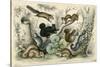 Various Squirrels 19C-J Bower-Stretched Canvas