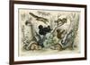Various Squirrels 19C-J Bower-Framed Art Print