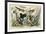 Various Squirrels 19C-J Bower-Framed Art Print