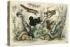 Various Squirrels 19C-J Bower-Stretched Canvas