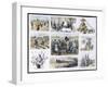 Various Stages of Cotton Processing-null-Framed Art Print