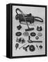 Various Tools that Can Be Attached to an Electro-Lux Vacuum Cleaner-Ralph Morse-Framed Stretched Canvas