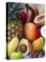 Various Tropical Fruits and Spices-Felicity Cole-Stretched Canvas