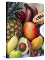 Various Tropical Fruits and Spices-Felicity Cole-Stretched Canvas