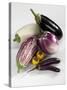Various Types of Aubergines-Karl Newedel-Stretched Canvas