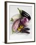 Various Types of Aubergines-Karl Newedel-Framed Photographic Print