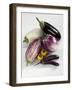 Various Types of Aubergines-Karl Newedel-Framed Photographic Print